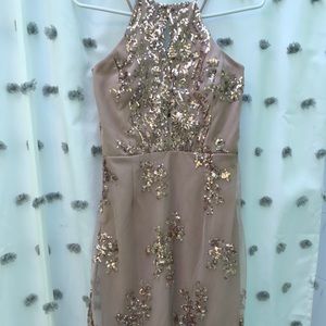 Windsor Champagne Cocktail Dress